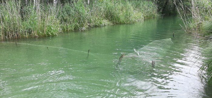 Diese professionelle Fischreuse hatte der Ungar aufgebaut