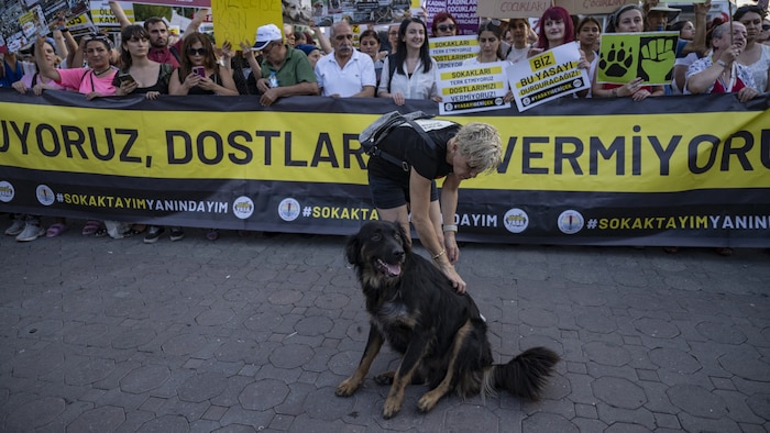 Auch in der Türkei kommt es immer wieder zu Protesten. 