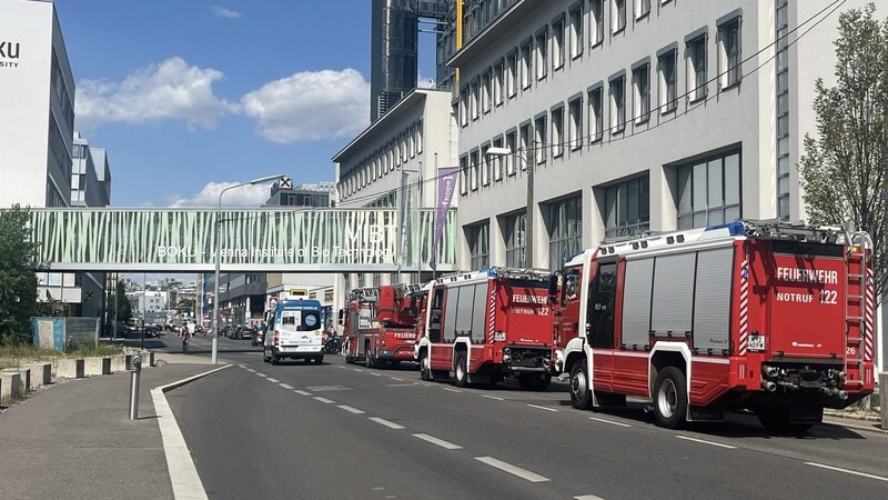 Das Gebäude der BOKU ist in Wien-Heiligenstadt. (Bild: Krone KREATIV/KMM/Tilly)