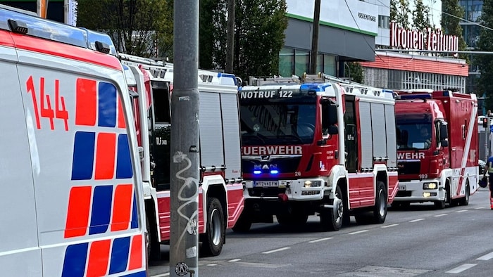 Gleich mehrere Feuerwehren, die Rettung und Polizei waren vor Ort.