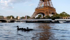 Heute dreht nur diese Enten-Familie ihre Runden in der Seine.  (Bild: AP ( via APA) Austria Presse Agentur/ASSOCIATED PRESS)