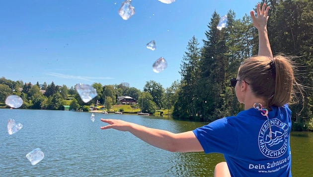 Mit Eiswürfeln und einem Augenzwinkern versucht man den Maltschacher See zu kühlen. (Bild: MK)