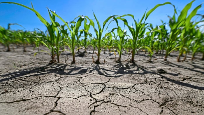 Trockenheit, Wasserknappheit – auf unsere Bauern warten große Herausforderungen.