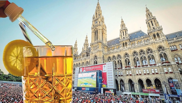 Crime scene public viewing on Rathausplatz: the rape allegedly took place in a toilet facility. (Bild: Krone KREATIV/APA: Hans Leitner, Evelyn Hronek,)