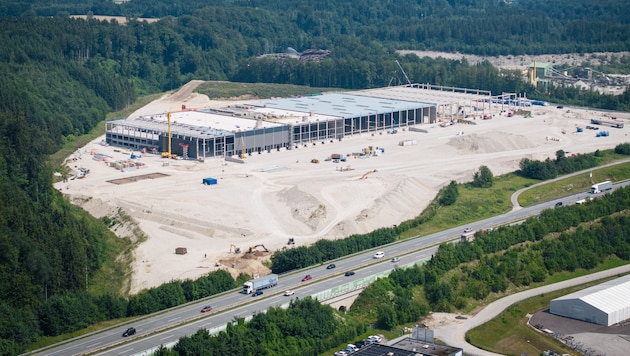 Greenpeace stellt das Projekt Ehrenfeld 2 in Ohlsdorf an den Ökopranger.  (Bild: Krone KREATIV/Mitja Kobal)