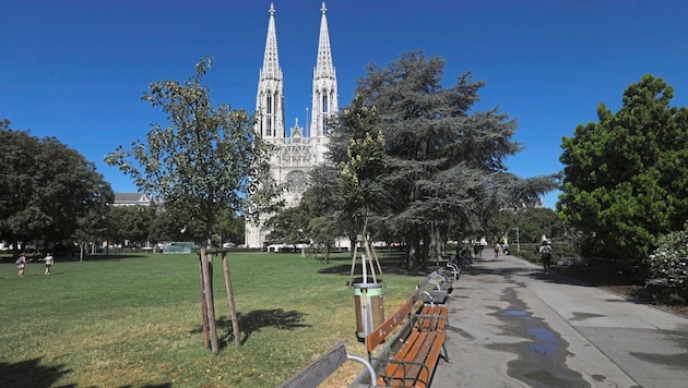 The brutal knife attack took place on the night of July 30 in Sigmund Freud Park in Vienna (symbolic image). (Bild: Jöchl Martin)