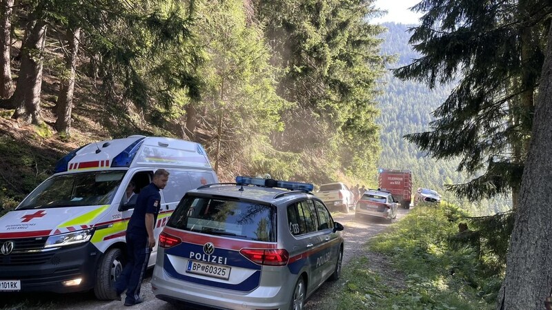 Der entgegenkommende Autofahrer setzte einen Notruf ab. (Bild: Ff Vordernberg)