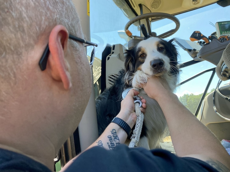 Ein Hund wurde von der Feuerwehr aus der Fahrerkabine befreit und betreut. (Bild: Thomas Zeiler)