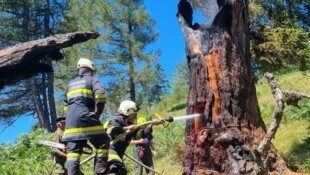 Ein Blitz dürfte den Baum auf der Alm in Brand gesetzt haben. Die Feuerwehren von Millstatt und ...