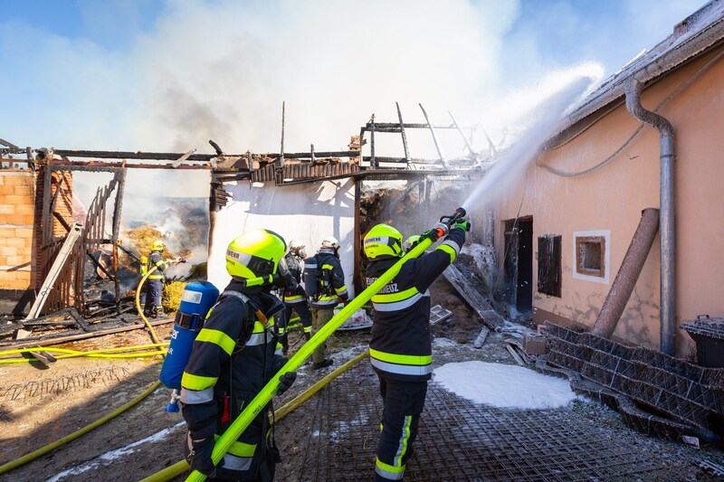 In Sittendorf in the Vienna Woods, a fire broke out on a farm on Tuesday afternoon (Bild: Pressestelle BFK Mödling / M. Seyfert)