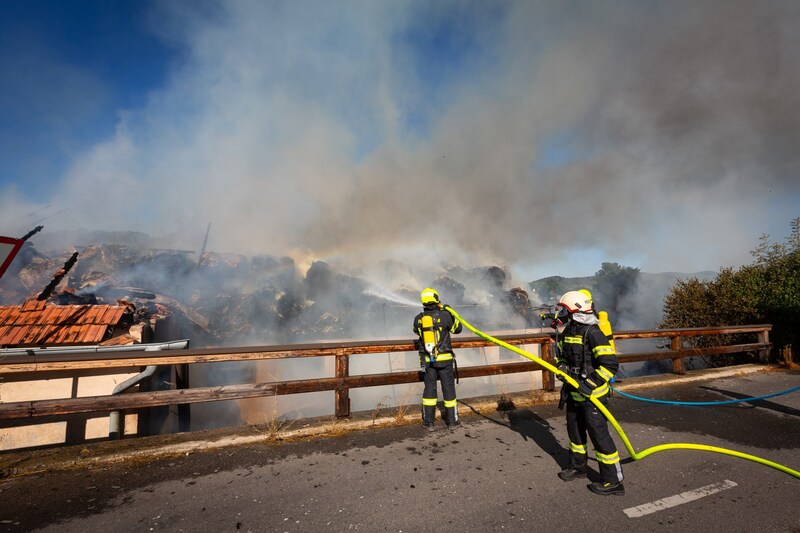 (Bild: Pressestelle BFK Mödling / M. Seyfert)