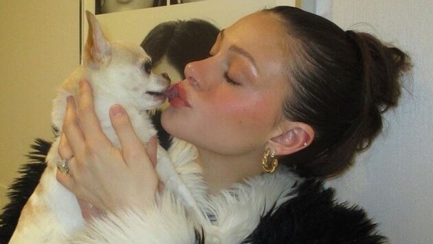 The 29-year-old actress is mourning the loss of her pooch "Nala", who passed away after visiting a groomer. (Bild: Instagram / nicolaannepeltzbeckham)