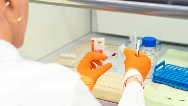 Samples are analyzed in CBmed's high-tech laboratories in order to gather knowledge for new anti-cancer drugs. (Bild: Foto Fischer,Graz)