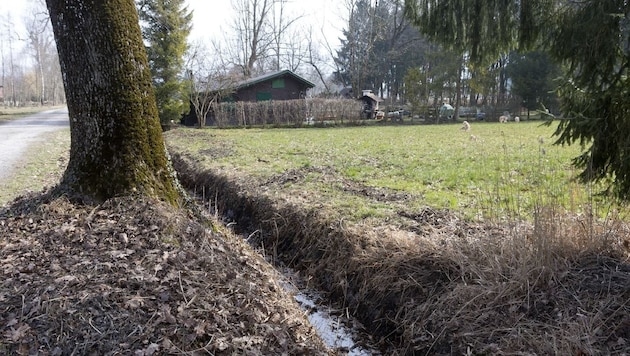 The men are said to have driven the body through Vorarlberg and then dumped it in the Riedgraben ditch. (Bild: Dietmar Matis)