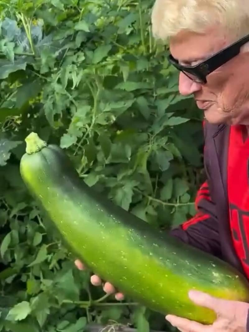 Heino und seine extra große Zucchini (Bild: Krone KREATIV/Instagram/heino.official)