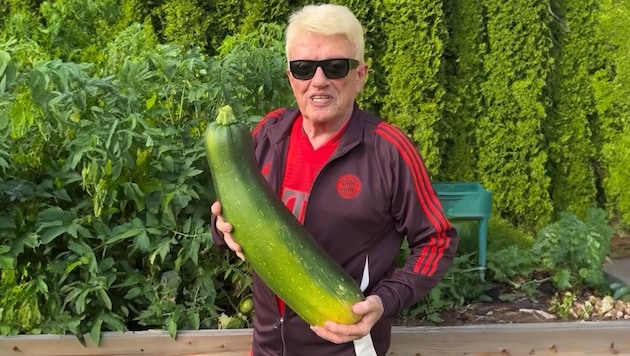 Heino und sein ganzer Stolz (Bild: Krone KREATIV/Instagram/heino.official)