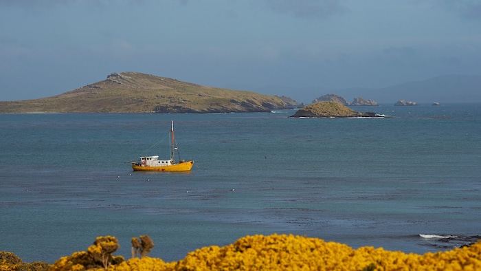 Blick auf die Falklandinseln