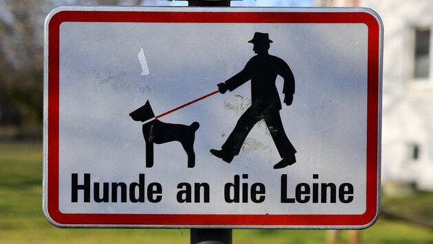 Dogs are generally required to be kept on a lead in the city: dog owners often do not comply, as in the current case. (Bild: Huber Patrick)