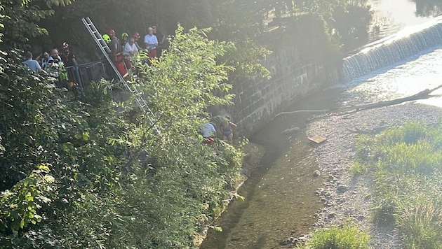 To get to the woman, the young man jumped three meters into the water. (Bild: zVg)