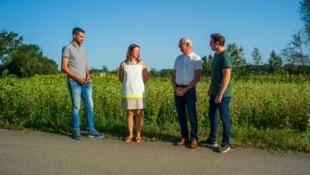 Lokalaugenschein direkt vor der 20 Hektar großen Projektfläche: VP-Fraktionsobmann Nico Praus, Anrainerin Eva Wartlik, VP-Stadtvize Rudi Höfler und Stadtrat Gregor Eckmayr (v. l.). (Bild: Wolfgang Simlinger)