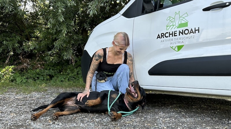 Returning her to her owner would mean an uncertain future for the animal. (Bild: Arche Noah )