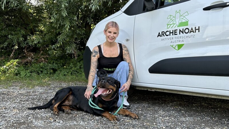 The dog Medusa (pictured with Arche employee Daniela) was lovingly nursed back to health after she arrived at the shelter at least ten kilos underweight. (Bild: Arche Noah)