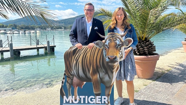 Mit dem „Mu(h)tiger“ tourt Staatssekretärin Claudia Plakolm durch die Bundesländer. (Bild: Jennifer Kapellari)