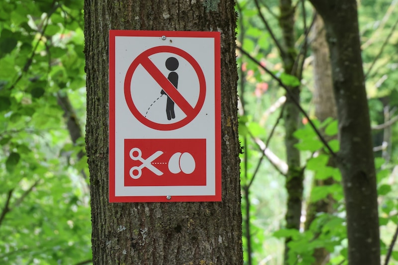 Dieses gewagte Schild hängt beim Steckerlfischbrater auf der Lambacher Badeinsel in der Traun. (Bild: laumat)