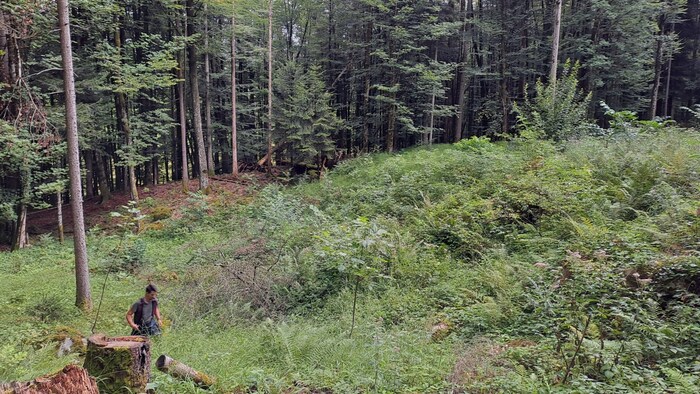 Die Suchaktion im Gelände war für die Einsatzkräfte strapaziös