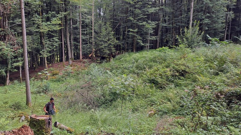 Die Suchaktion im Gelände war für die Einsatzkräfte strapaziös (Bild: FF Bad Ischl)