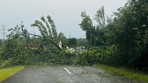 Zahlreiche Straßen waren am Freitagabend im Raum Gosdorf (Bezirk Südoststeiermark) durch umgestürzte Bäume blockiert.  (Bild: Pail Sepp)