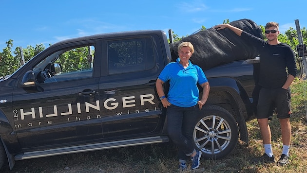 Doctor and city winemaker Christiane Loinig-Velik and Florian Ackermann, field manager of the Hillinger winery, loading the hail nets. (Bild: zVg)