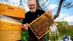 Ernst Brandl hütet seine Bienenvölker im Waldviertel. (Bild: Imre Antal)