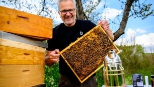 Ernst Brandl hütet seine Bienenvölker im Waldviertel. (Bild: Imre Antal)