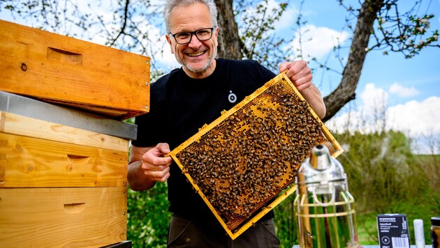 Ernst Brandl looks after his bee colonies in the Waldviertel. (Bild: Imre Antal)