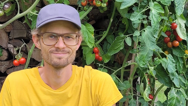 Josef Obermoser setzt auf resistente, samenfeste Tomatensorten. (Bild: Gerlinde Obermoser)