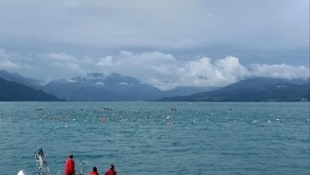 400 Aktive schwammen bei der Attersee-Überquerung (Bild: ASVÖ Atterseeüberquerung)