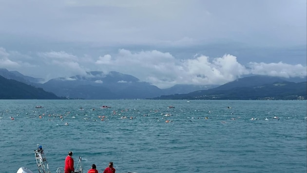 400 athletes swam in the Attersee crossing (Bild: ASVÖ Atterseeüberquerung)