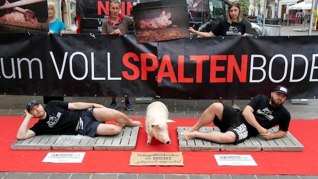 Two animal rights activists held out for 24 hours on a fully slatted concrete floor. (Bild: VGT.at)