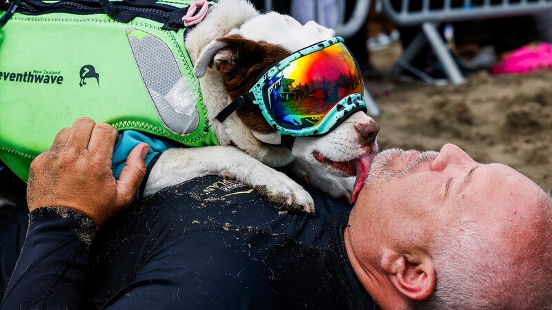 Ein Teilnehmer mit seinem Herrchen (Bild: AP/Yalonda M. James)