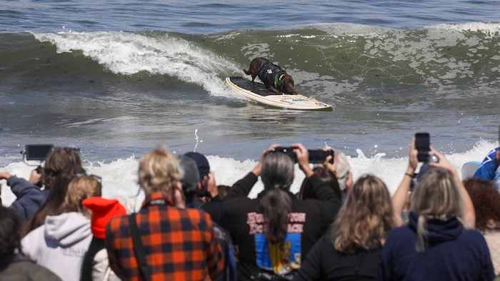 Tausende Zuschauerinnen und Zuschauer verfolgten aufmerksam das Geschehen.