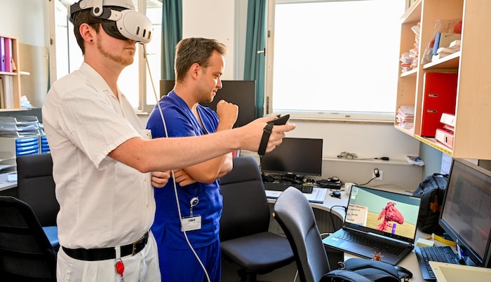 Mit dem Virtual- Reality-Headset können die Ärzte jeden Millimeter des gescannten Herzes ...