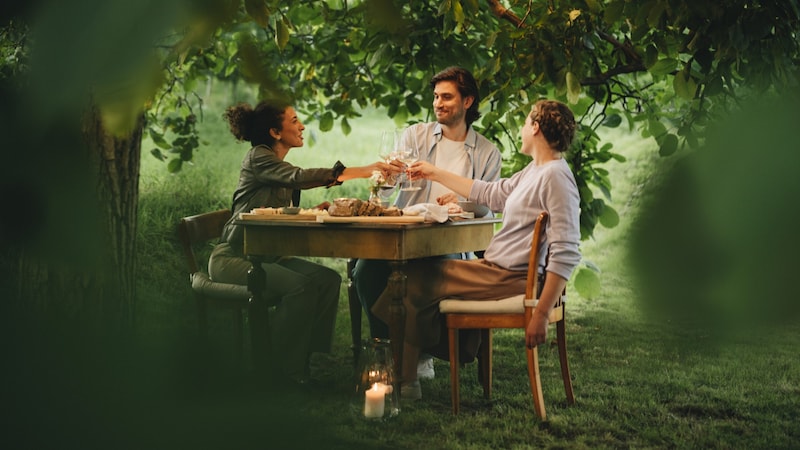 Weinherbst, Bioweingut Weber (Bild: © Niederösterreich Werbung/ JULIUS HIRTZBERGER)