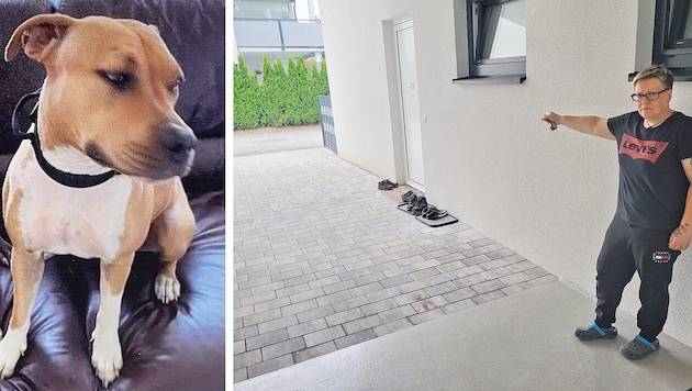 The victim's partner shows the place where the dog bit her. The four-legged friend had jumped over the green fence. (Bild: Krone KREATIV/Christa Blümel, zVg)