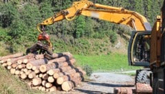 Erträge aus landwirtschaftlicher Nutzung von Gemeindegrund flossen nicht an die Allgemeinheit ...