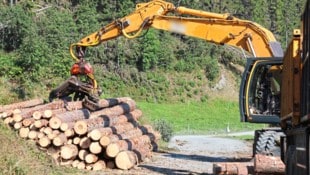 Erträge aus landwirtschaftlicher Nutzung von Gemeindegrund flossen nicht an die Allgemeinheit ...