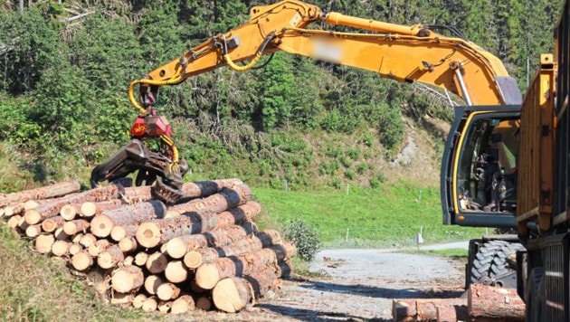 Erträge aus landwirtschaftlicher Nutzung von Gemeindegrund flossen nicht an die Allgemeinheit ...