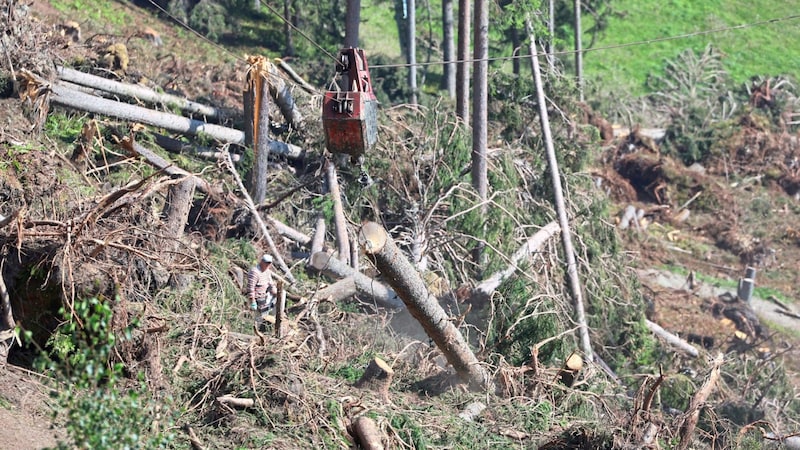 Stürme sorgen für viel Windwurf. (Bild: Birbaumer Christof)