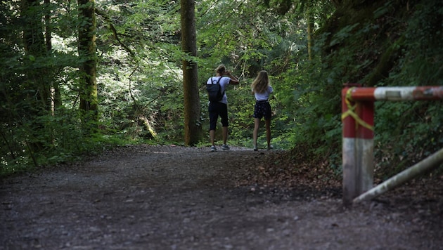 Visitors criticize the overgrown state of the local recreation area. (Bild: Tröster Andreas)