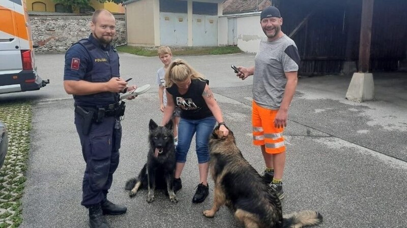 Happy End für die Schäferhunde. (Bild: Asfinag)